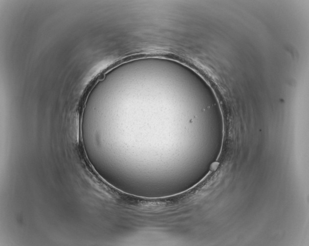X0000111851171200907301104