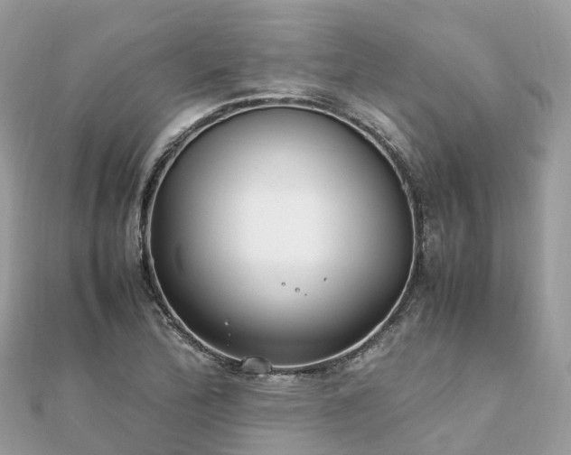 X0000111851172200907301104