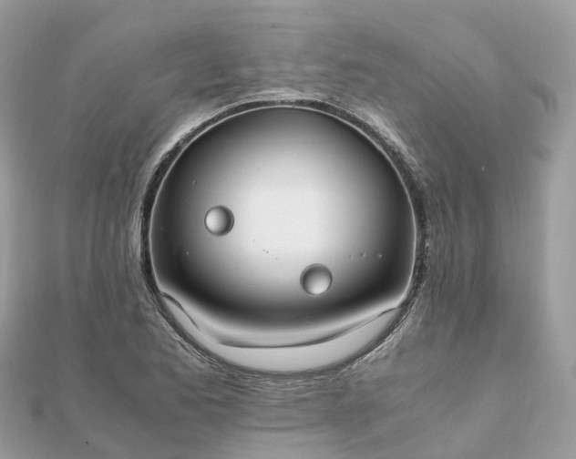 X0000111851173200907301104