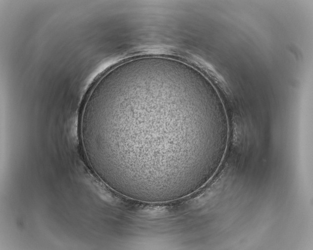 X0000111851174200907301104