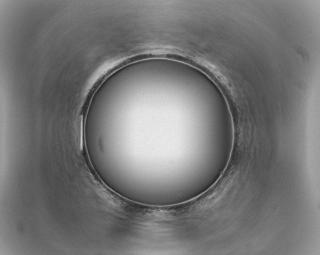 X0000111851175200907301104