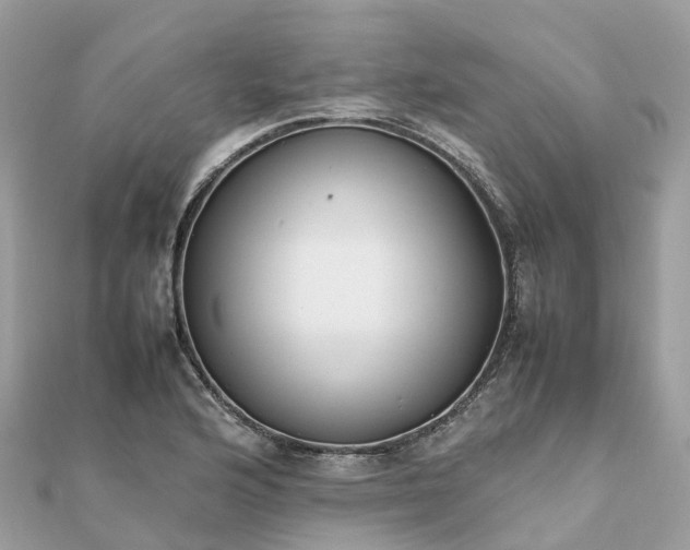 X0000111851176200907301104