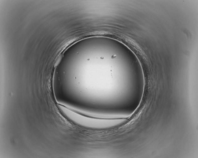 X0000111851177200907301104