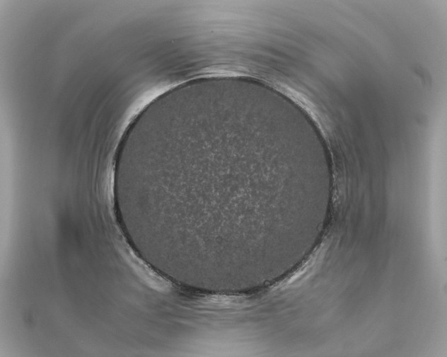 X0000111851179200907301104