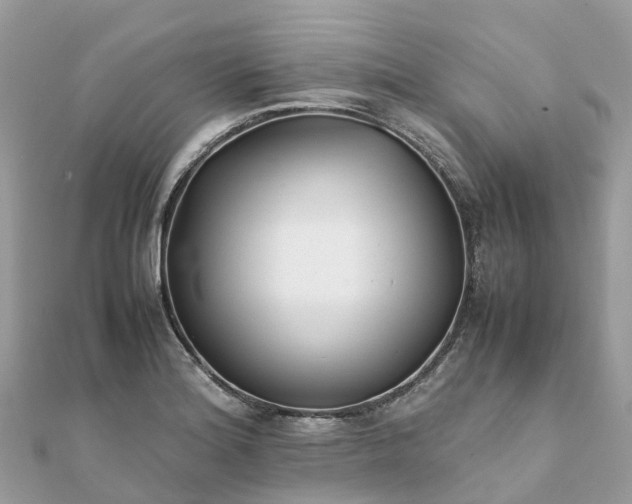 X0000111851180200907301104