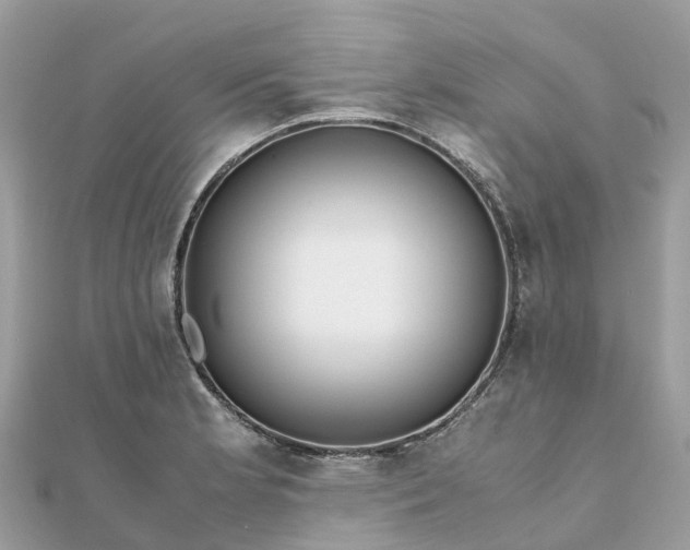 X0000111851181200907301104