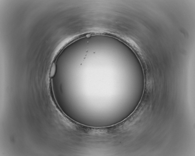 X0000111851183200907301104