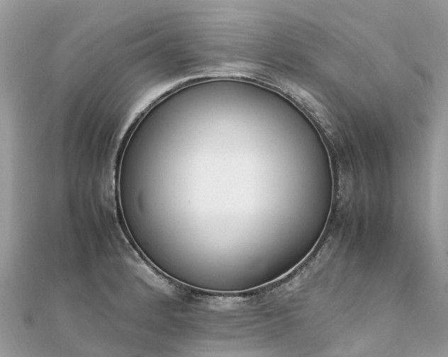 X0000111851184200907301104