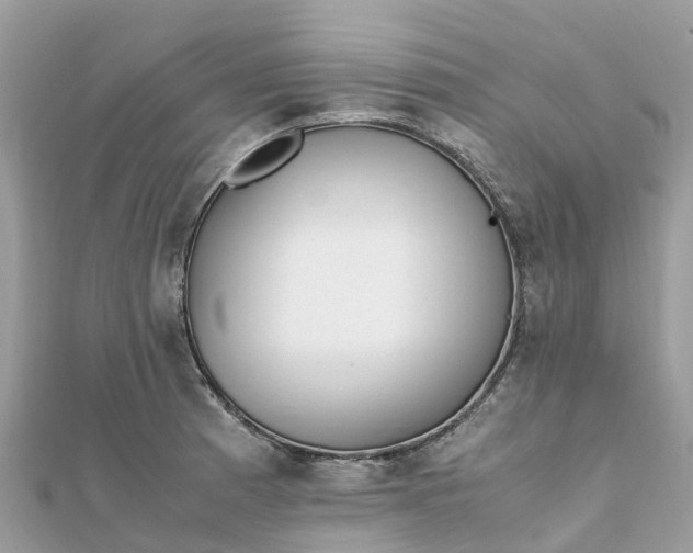 X0000111851185200907301104
