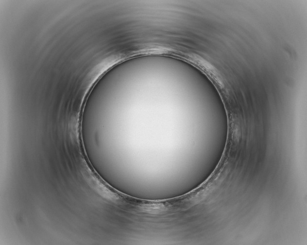 X0000111851186200907301104