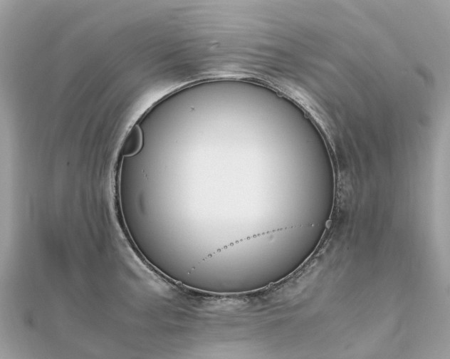 X0000111851187200907301104