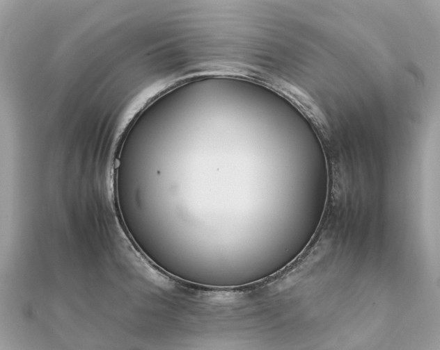 X0000111851188200907301104