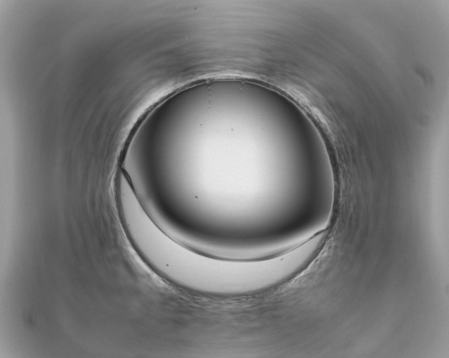 X0000111851189200907301104
