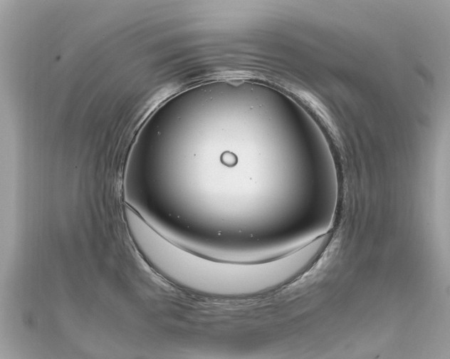 X0000111851193200907301104