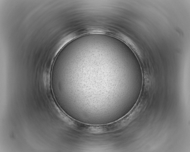 X0000111851194200907301104