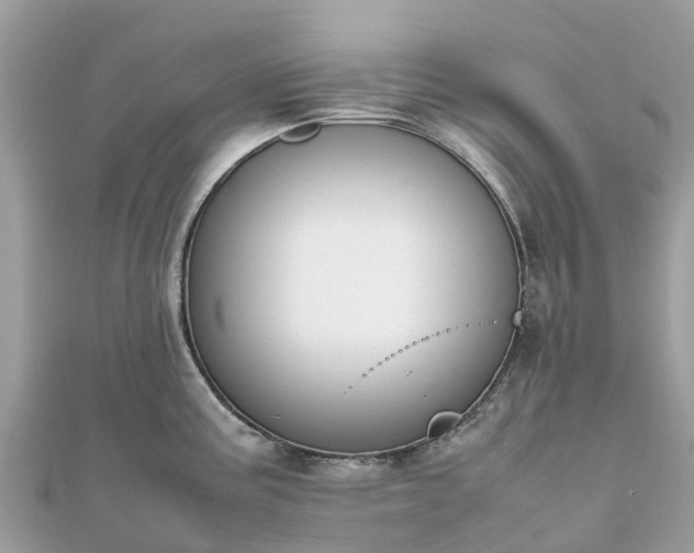 X0000111851195200907301104