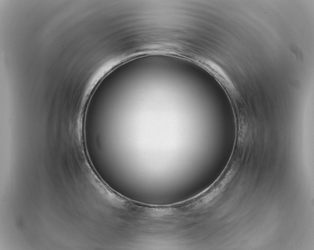 X0000111851196200907301104