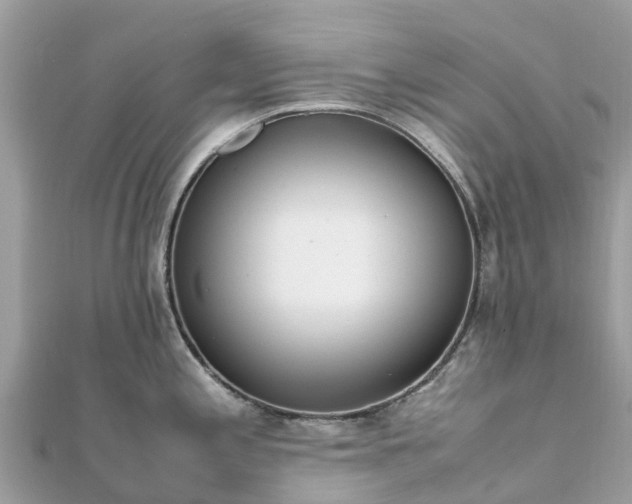 X0000111851197200907301104