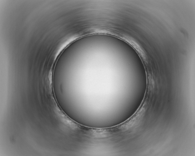 X0000111851198200907301104
