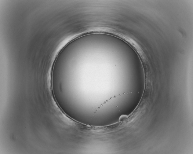 X0000111851199200907301104