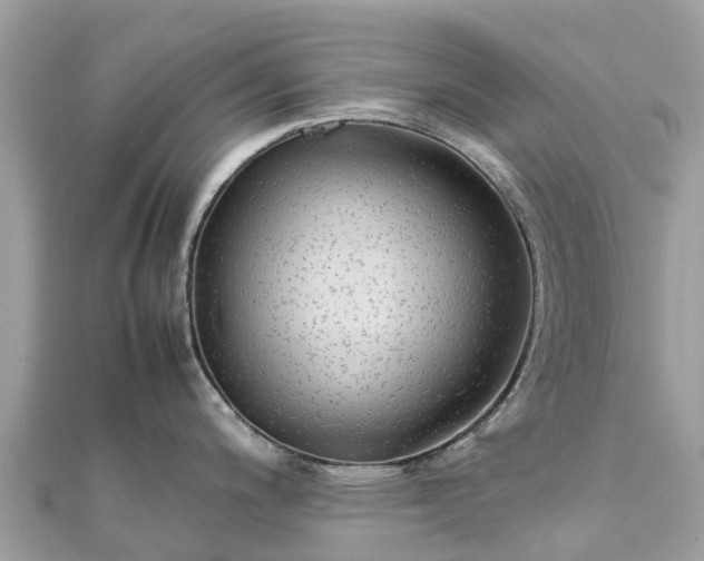X0000111851200200907301104