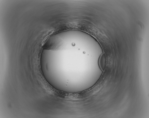 X0000111851201200907301104