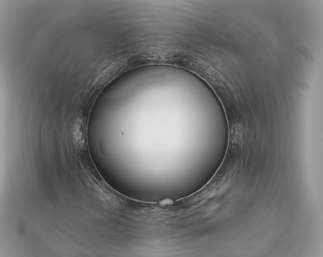 X0000111851202200907301104
