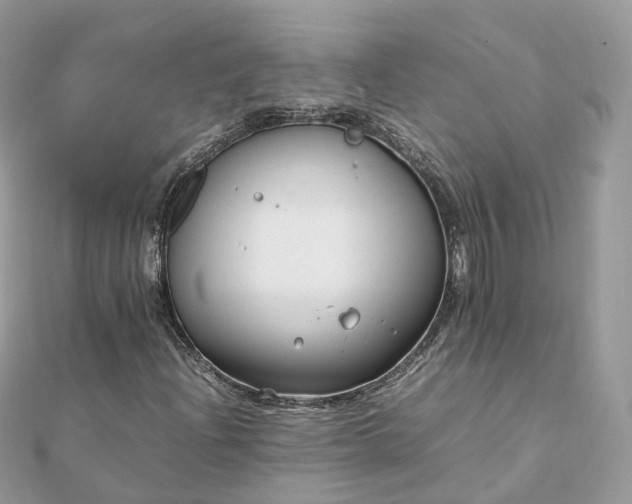 X0000111851204200907301104