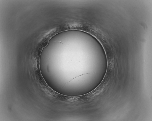 X0000111851205200907301104