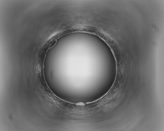 X0000111851206200907301104