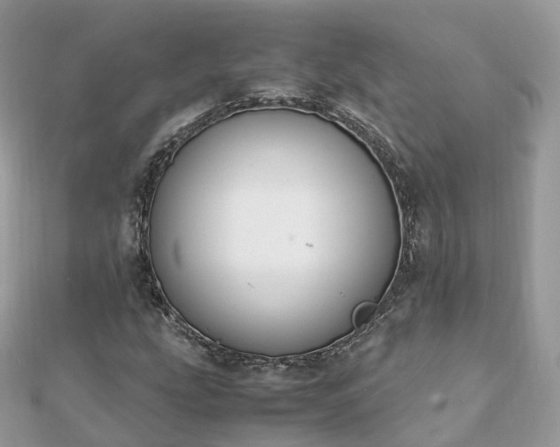 X0000111851207200907301104
