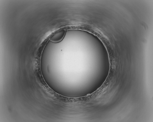X0000111851208200907301104