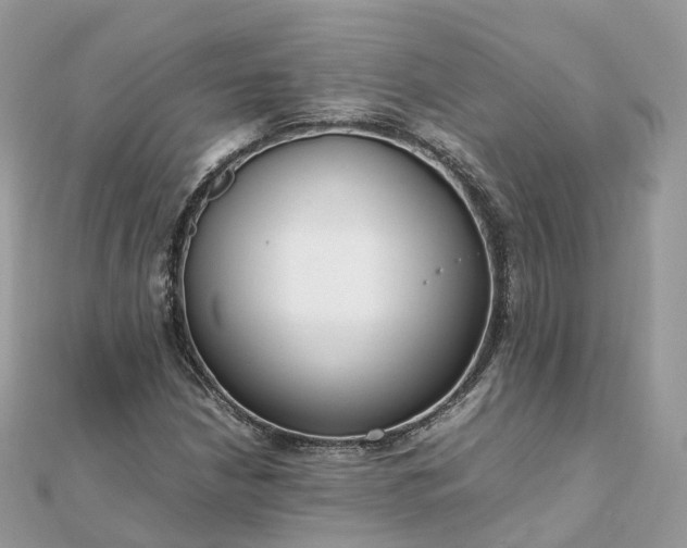 X0000111851210200907301104