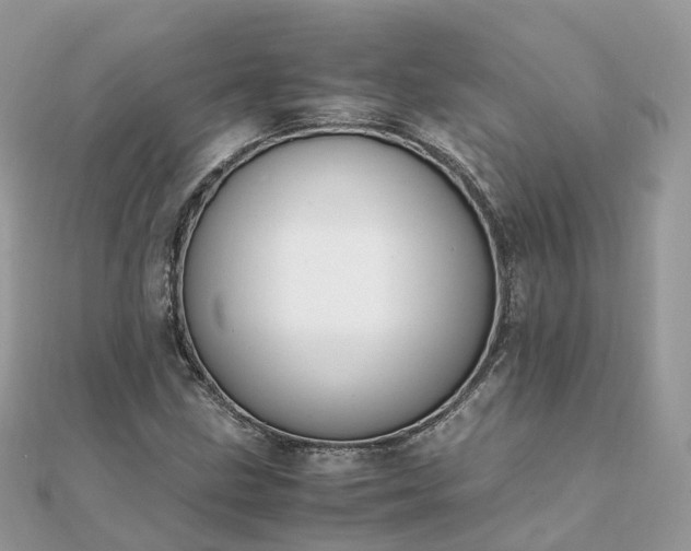 X0000111851211200907301104