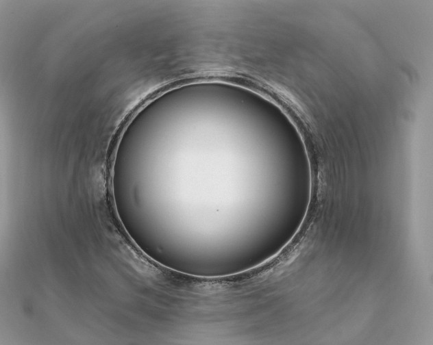 X0000111851212200907301104