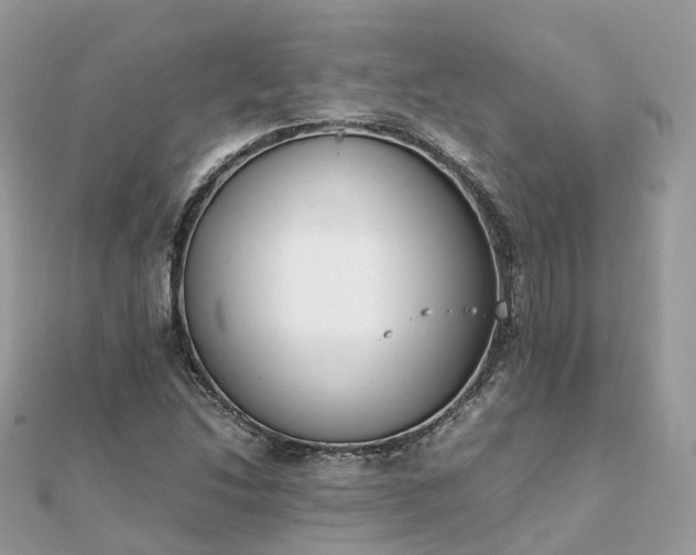 X0000111851214200907301104