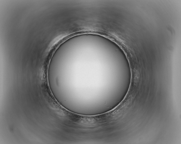 X0000111851215200907301104