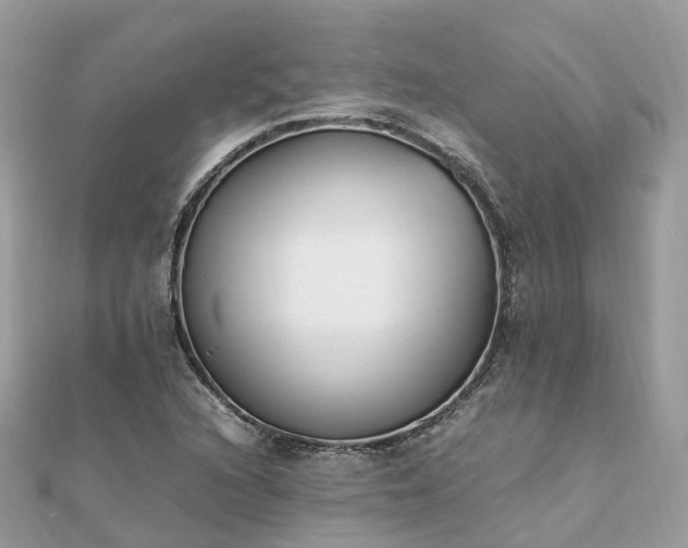 X0000111851216200907301104
