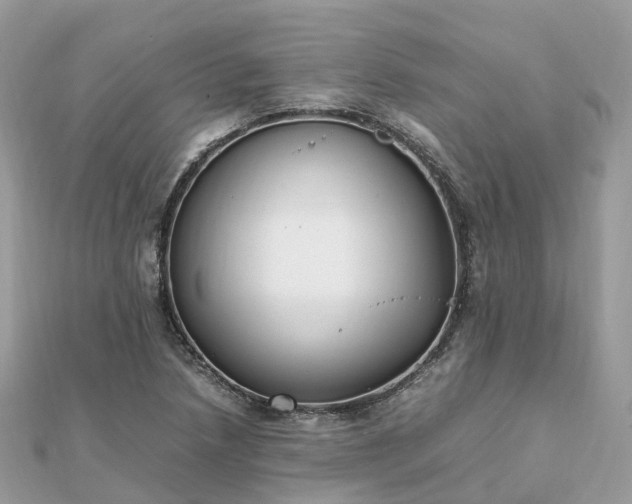 X0000111851218200907301104