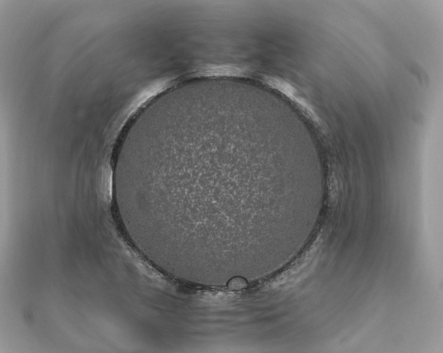 X0000111851221200907301104