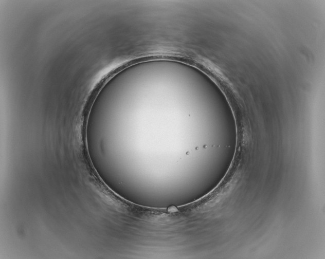 X0000111851222200907301104