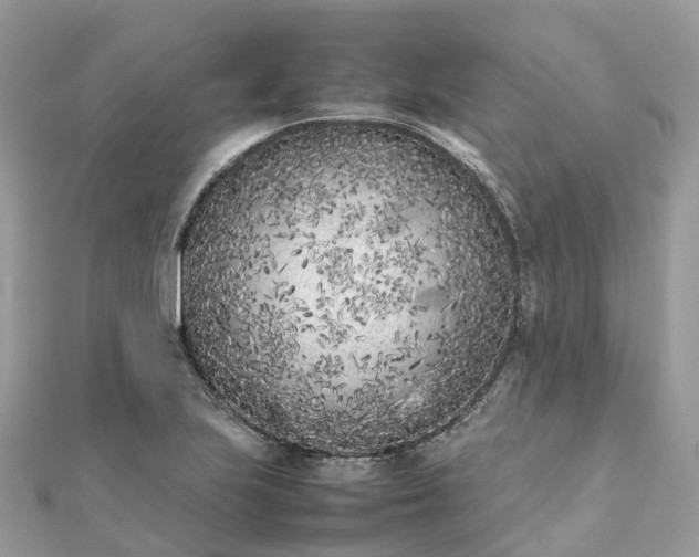 X0000111851223200907301104