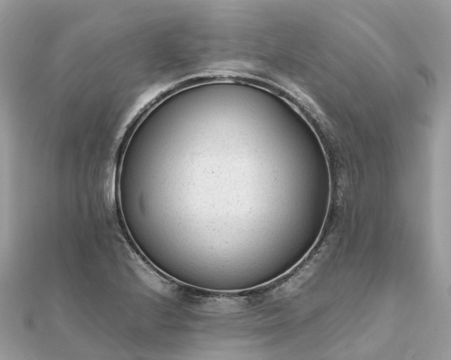 X0000111851224200907301104