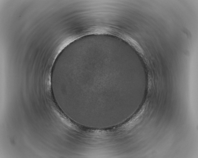 X0000111851226200907301104