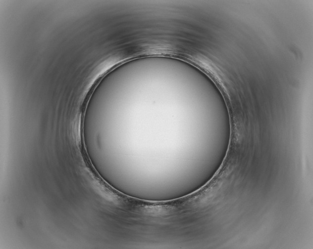 X0000111851227200907301104
