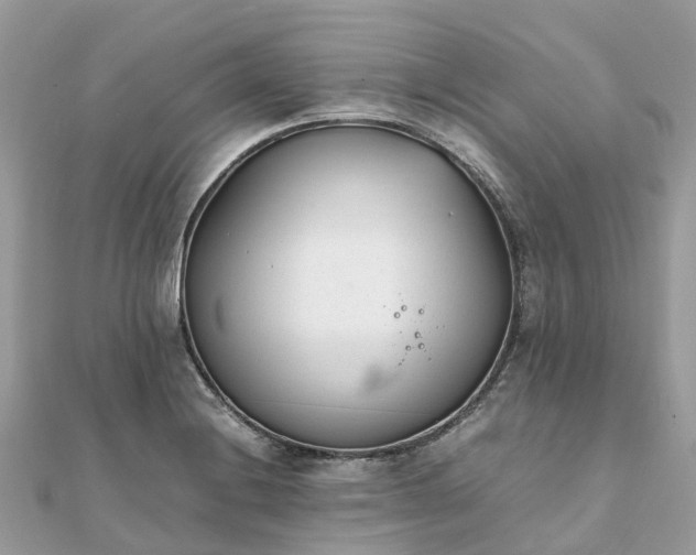 X0000111851228200907301104