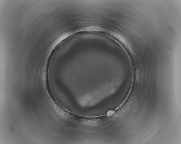 X0000111851229200907301104