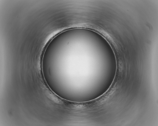 X0000111851230200907301104