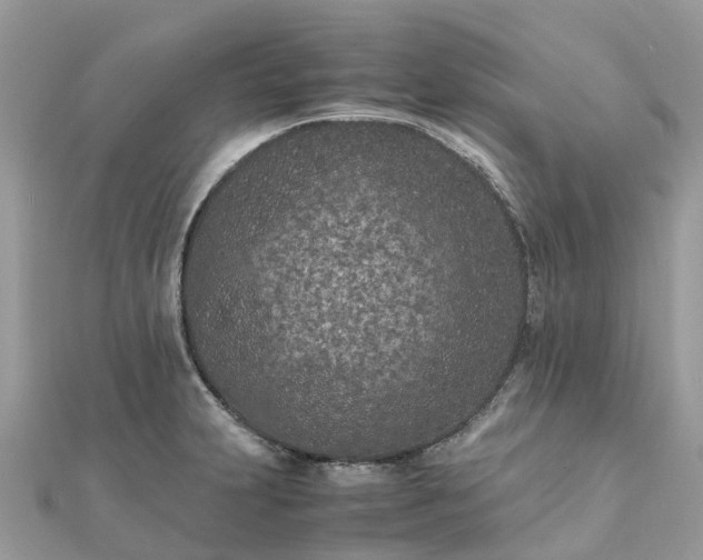 X0000111851231200907301104