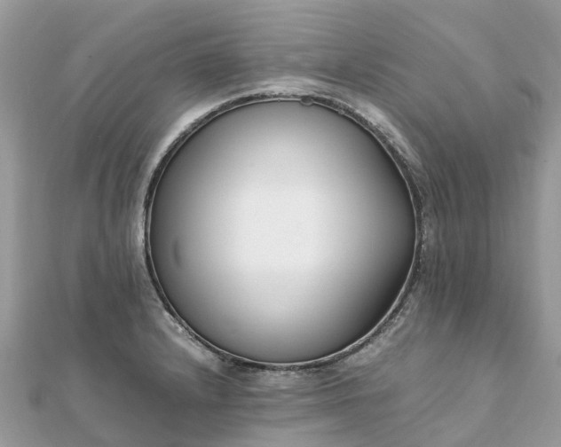 X0000111851232200907301104